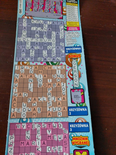 100 pln.jpg
