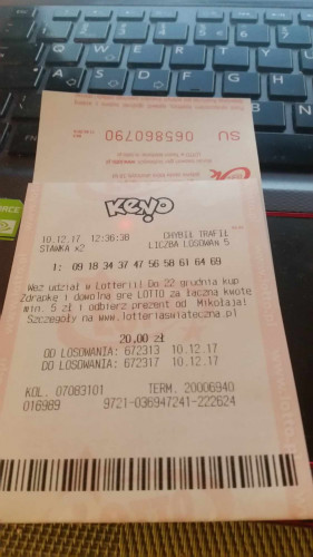 lotek1.jpg