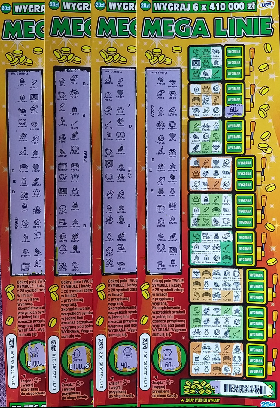 20240911_124707.jpg