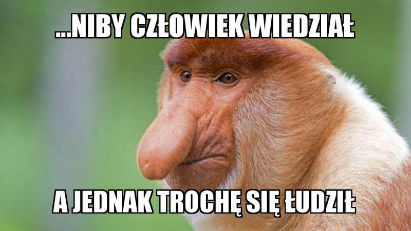 Co tu więcej dodać?