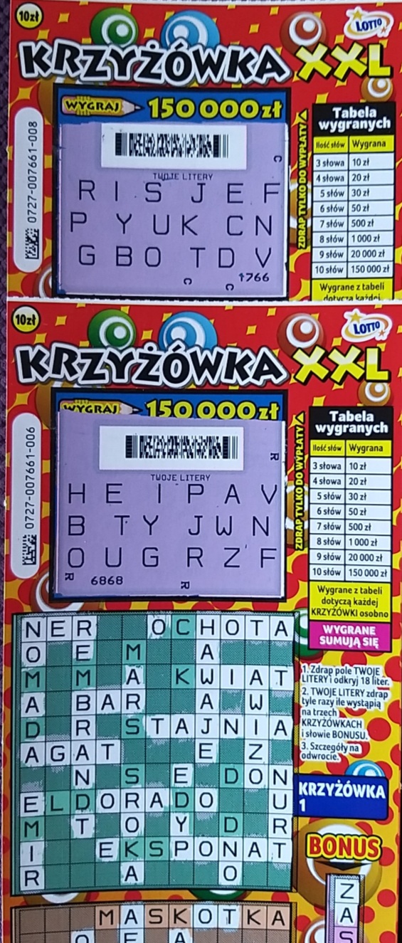 20250127_181313.jpg
