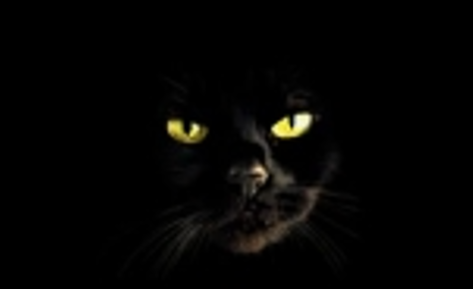 obraz_2025-09-15_173313955.png