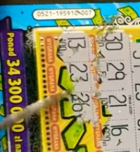 195xxx.jpg