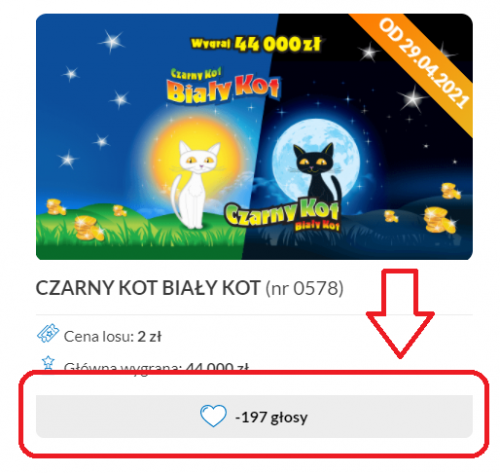 czarny_kot_bialy_kot.png