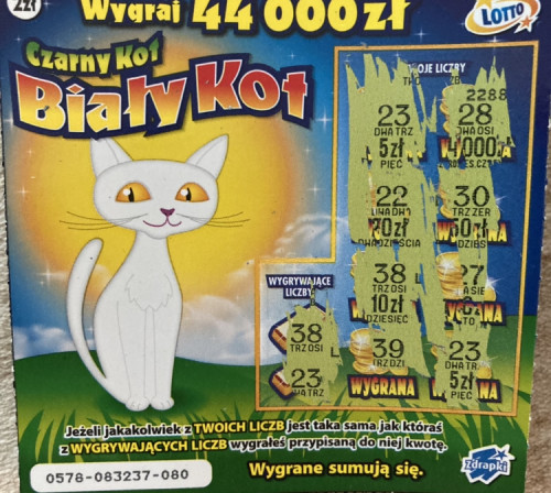 897F007C-D94A-4F9E-BD47-8FB1234EE14D.jpeg (628 KiB) Przejrzano 2604 razy 897F007C-D94A-4F9E-BD47-8FB1234EE14D.jpeg